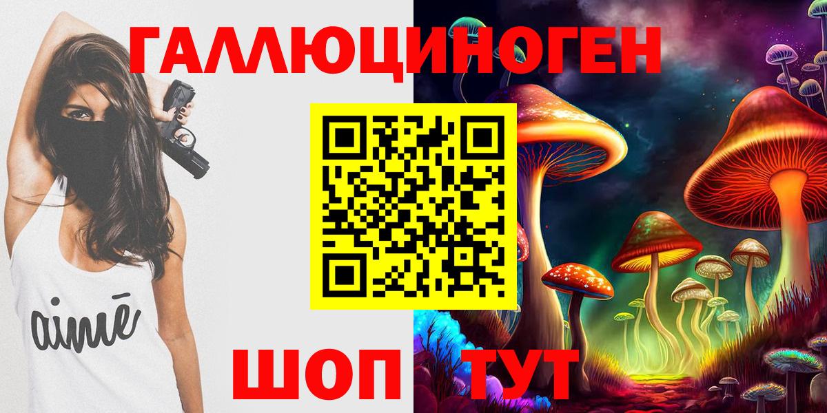 Топки  Псилоцибиновые грибы прущие грибы  Вход с VPN 